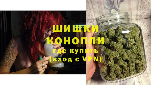 прущие грибы Куйбышев