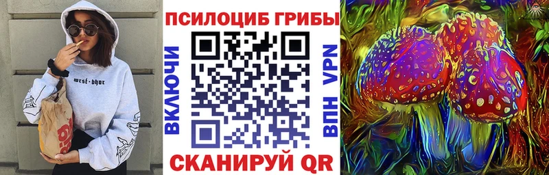 цена наркотик  Оленегорск  Галлюциногенные грибы Cubensis 